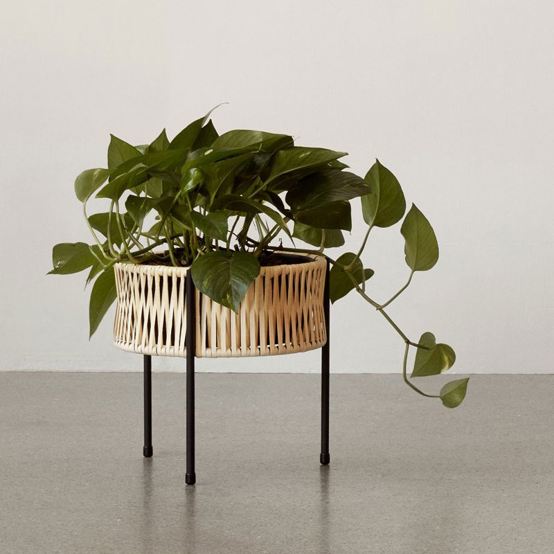 umanoff-planter-4.jpg گیاه اومانوف - Image 5
